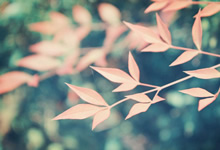 勇敢的澳大利亚射击选手获奖：勇气与技艺的完美结合