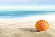 赫罗纳主场大胜，迎来盛况