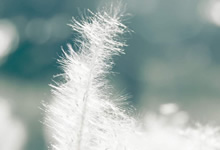 乌迪内斯迎战劲旅，冲刺联赛前列