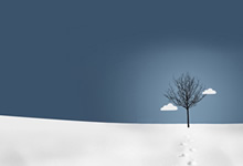 北东亚球队取胜晋级，备战八强赛