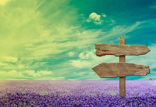 德国挑战斯洛文尼亚，实力对比