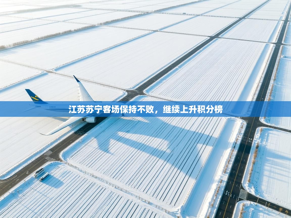 江苏苏宁客场保持不败，继续上升积分榜  第1张